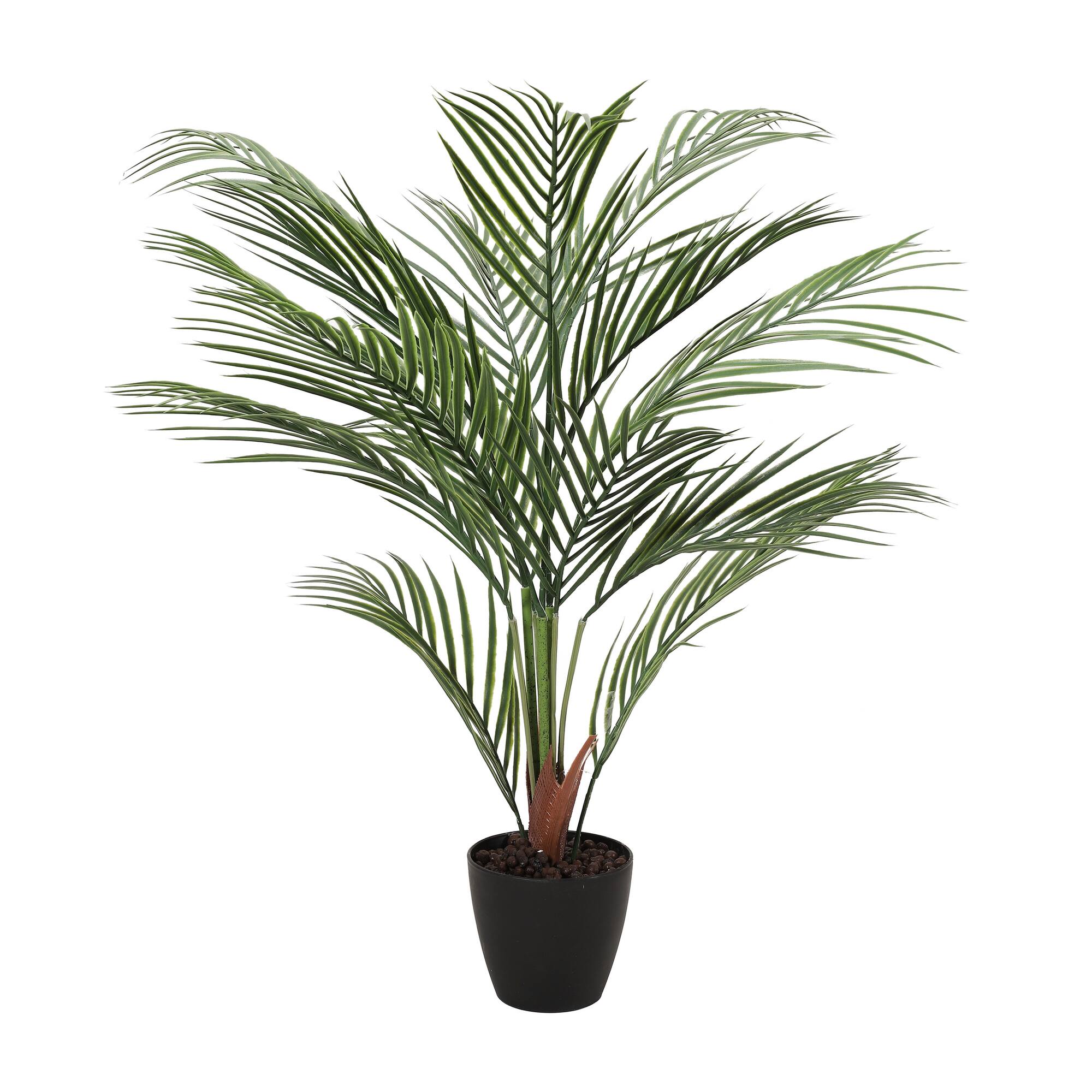 6 Pack: 3ft. Potted Areca Palm Tree